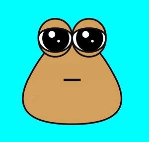 Pou